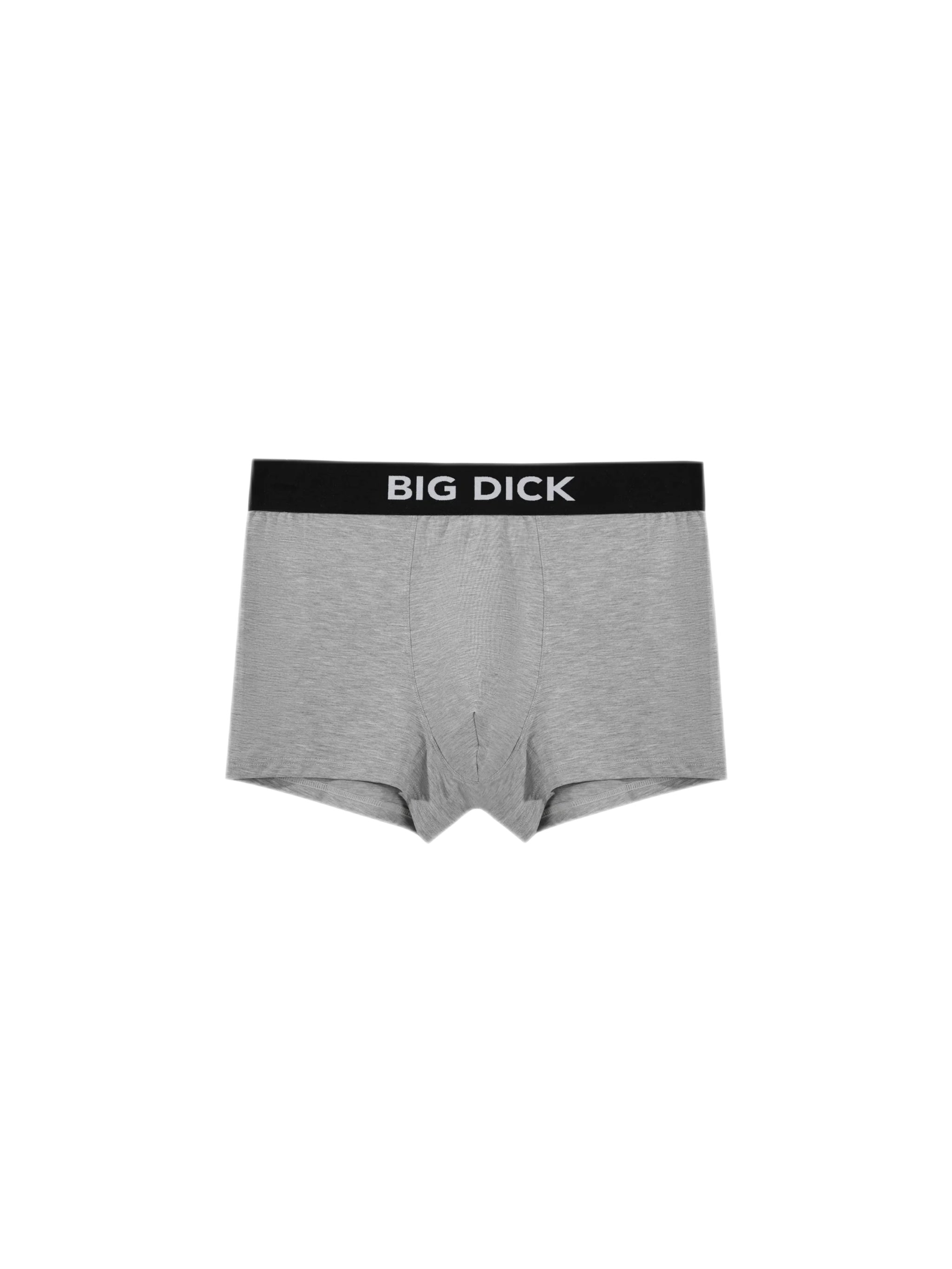 QUICK DRY ANTIBACTERIAL BOXER BRIEFS